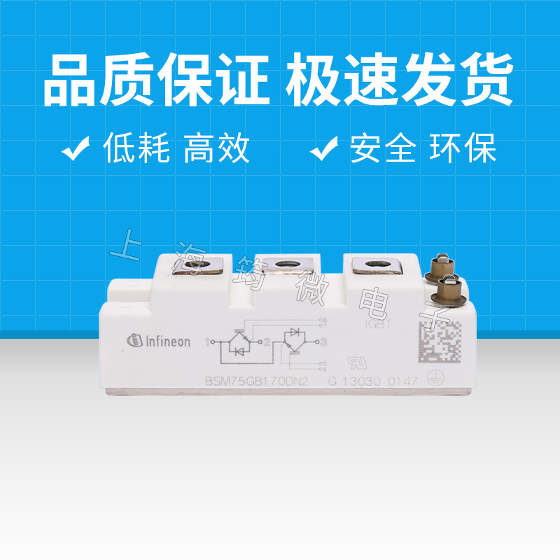 BSM75GB170DN2